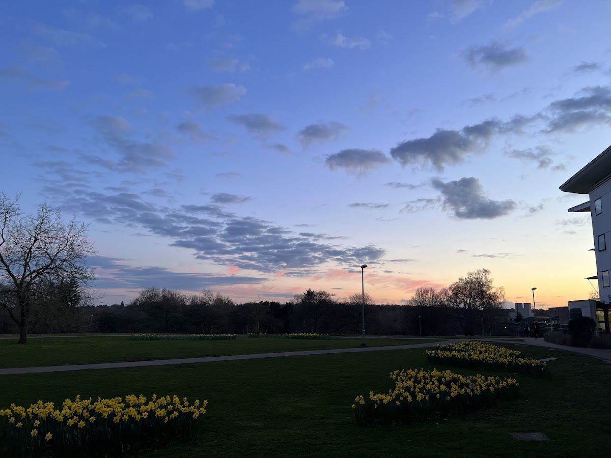 University of East Anglia photo 8
