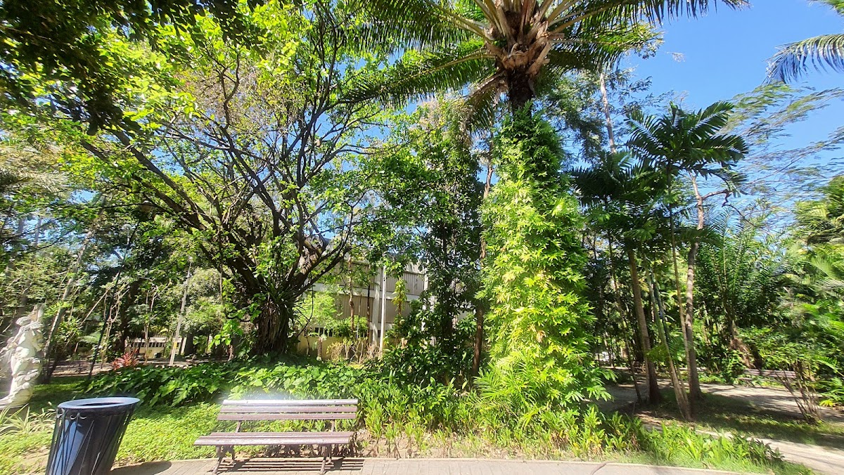 University Center of Fortaleza photo 4