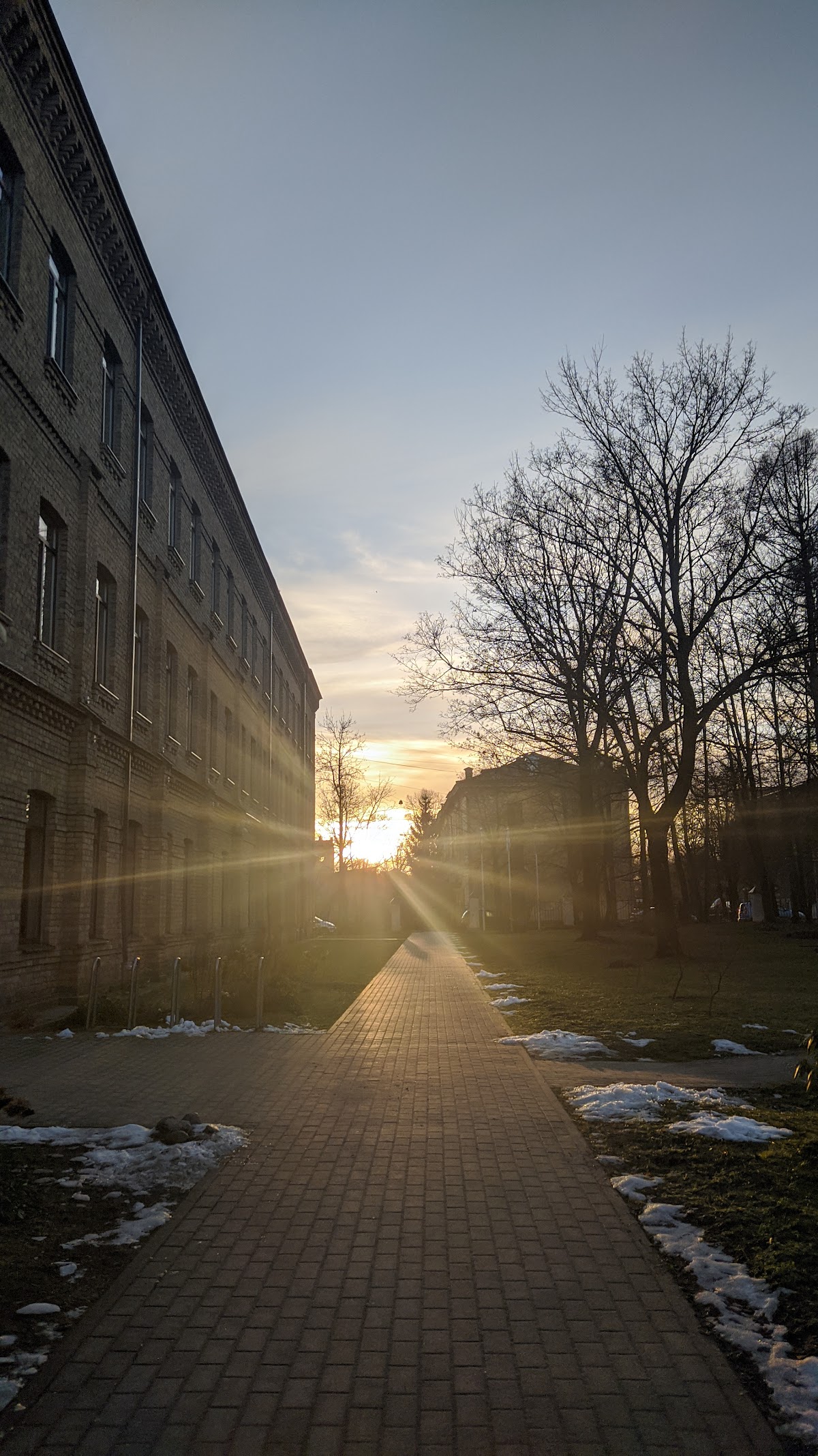 Information Systems Management Institute photo 9