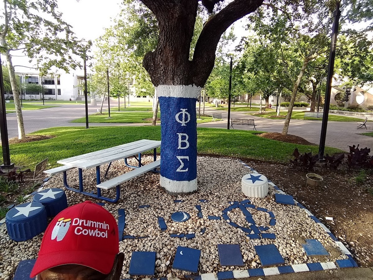 Texas Southern University photo 2