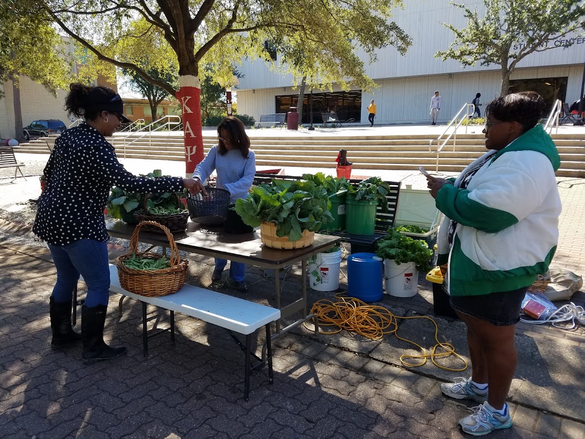 Texas Southern University photo 5