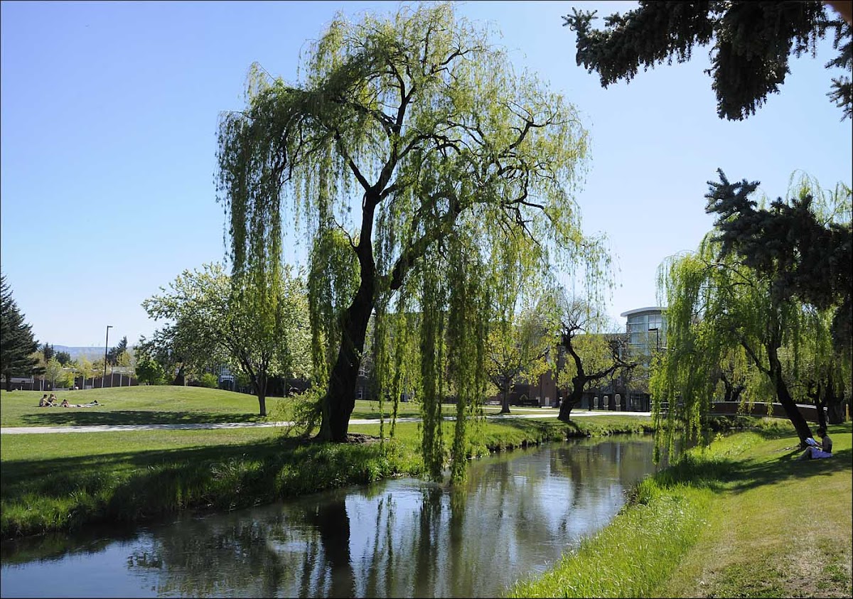 Central Washington University photo 2