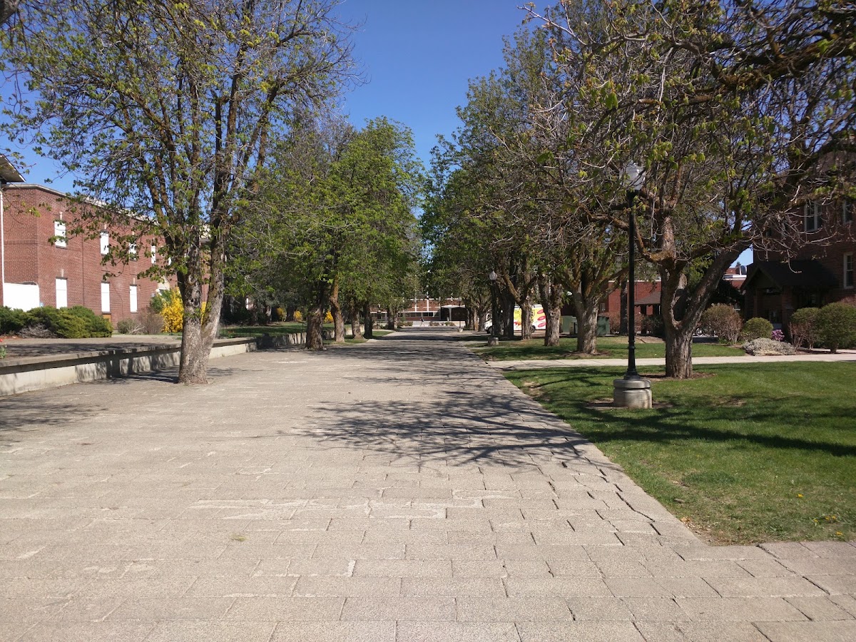 Central Washington University photo 9