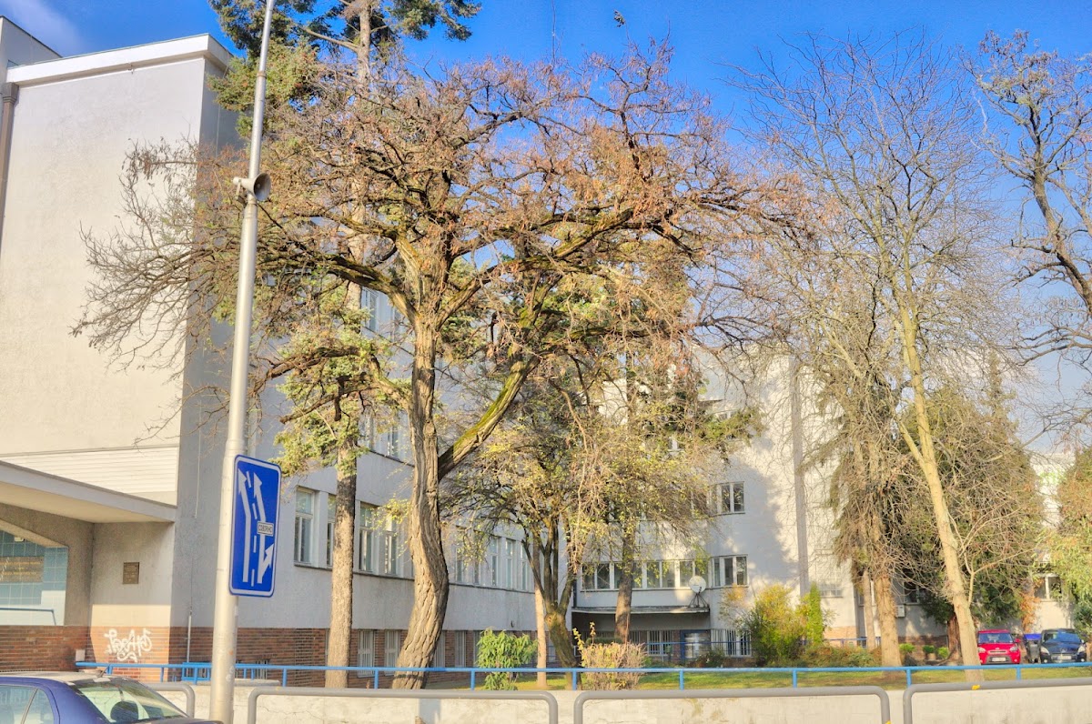 Constantine the Philosopher University in Nitra photo 3