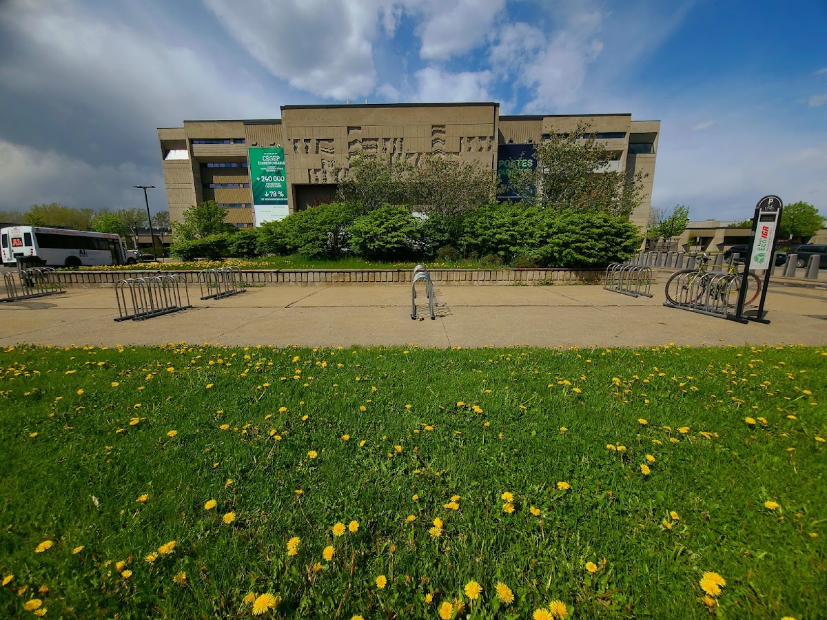 Collège André-Laurendeau photo 5