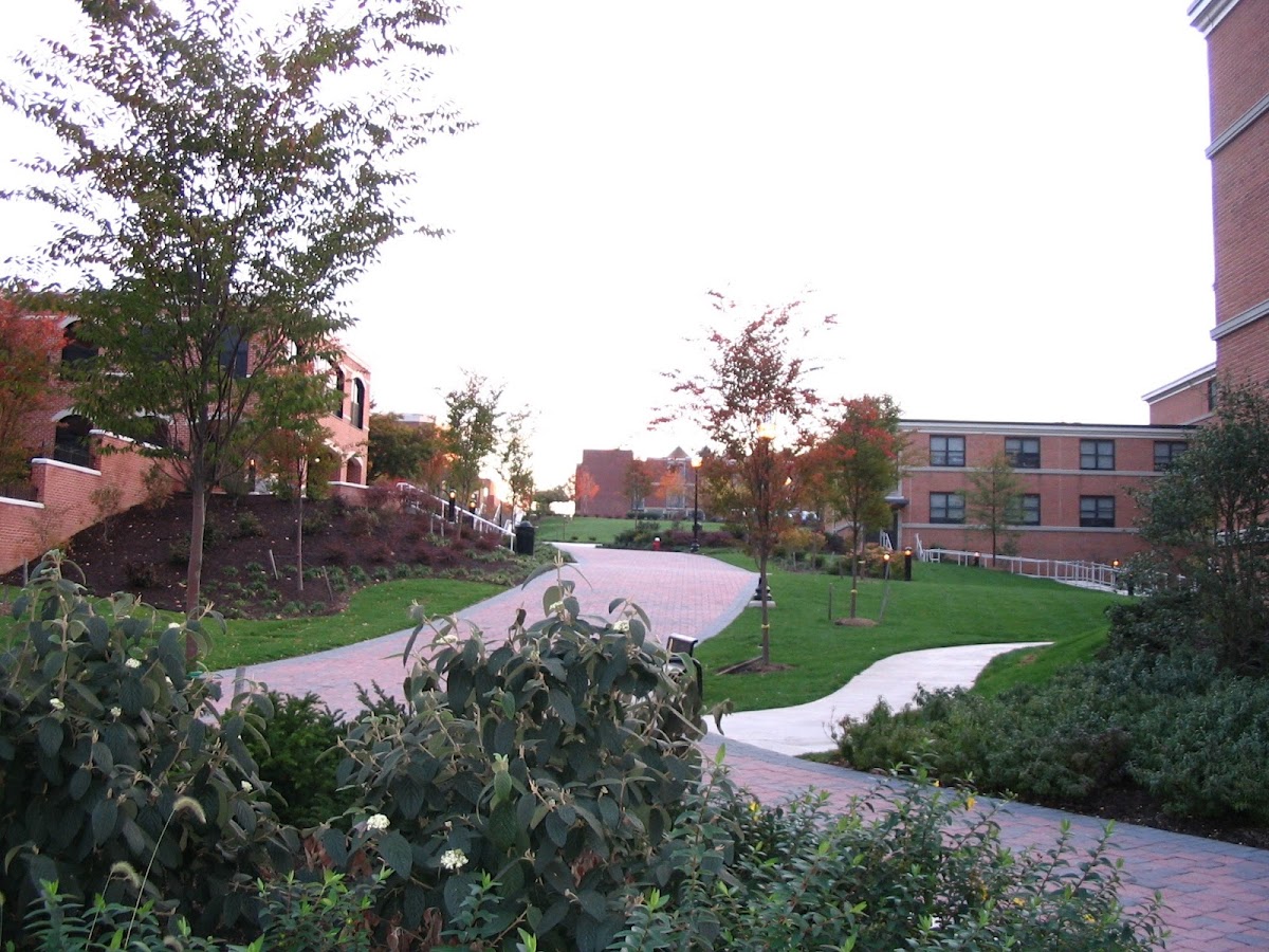 Bloomsburg University of Pennsylvania photo 4