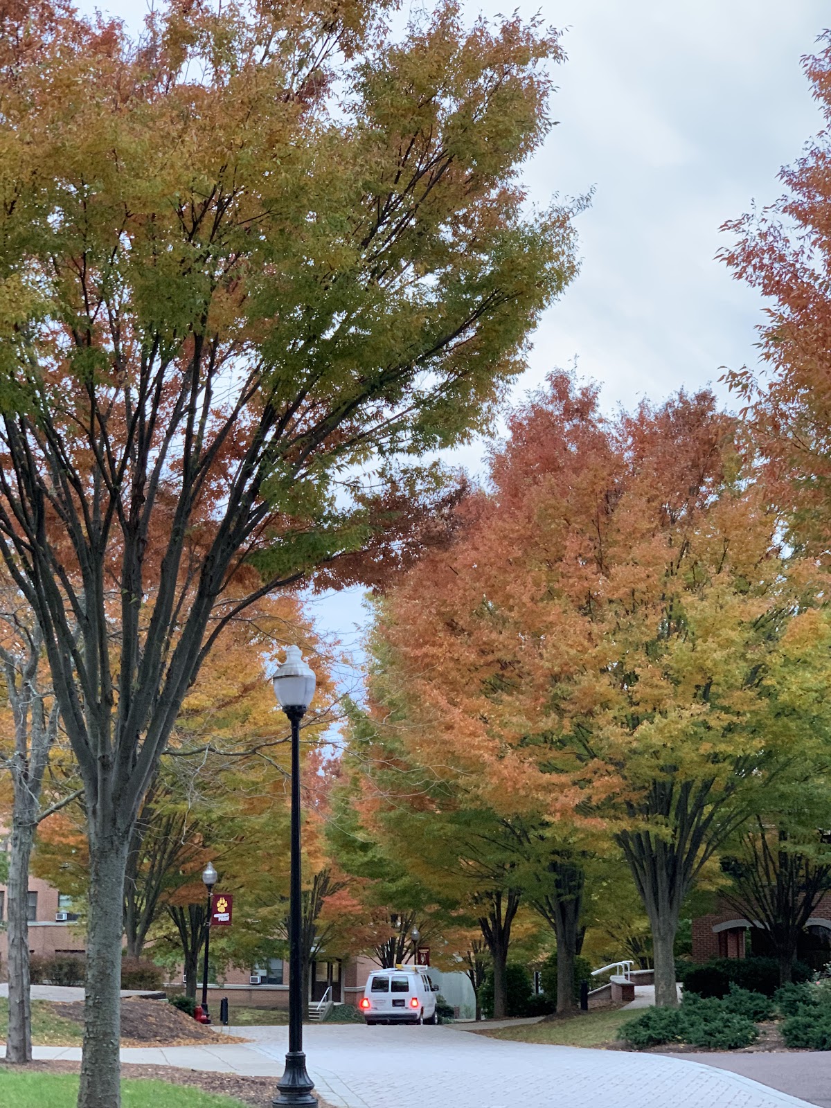 Bloomsburg University of Pennsylvania photo 8