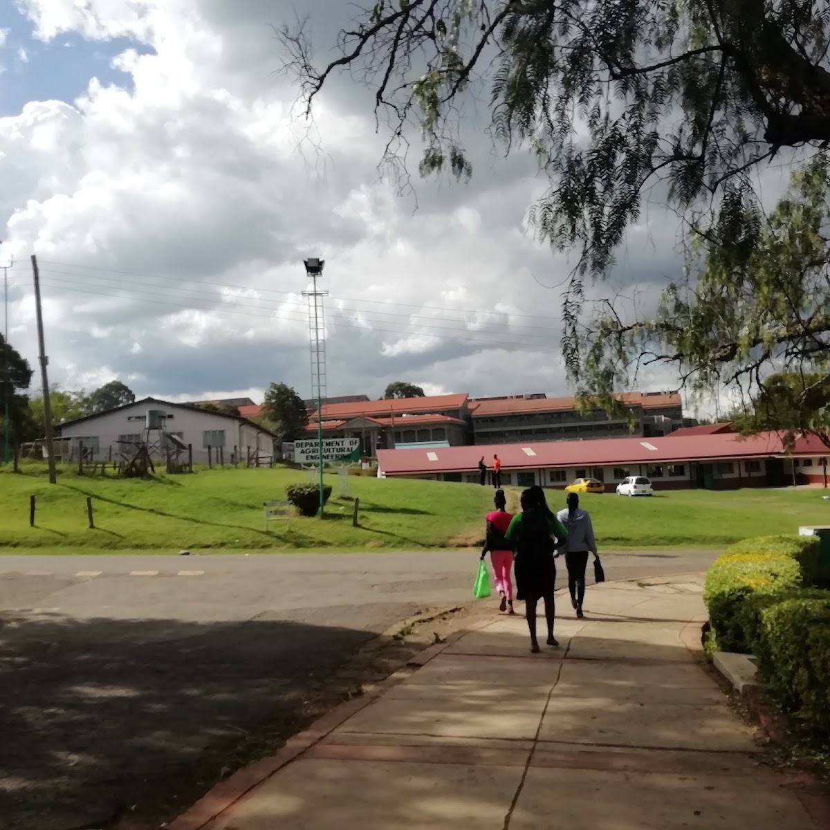 Egerton University photo 8