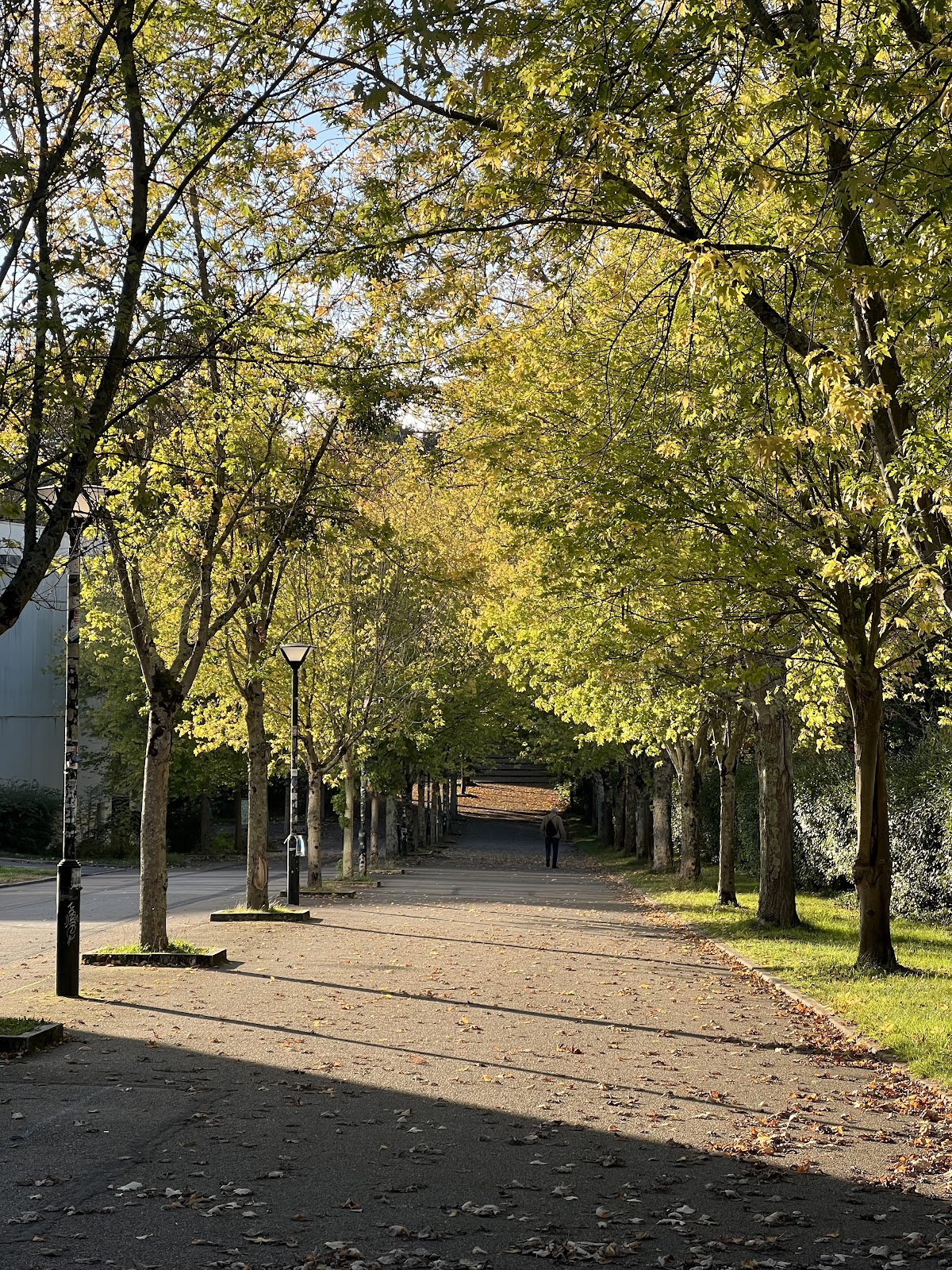 Audencia Business School photo 6