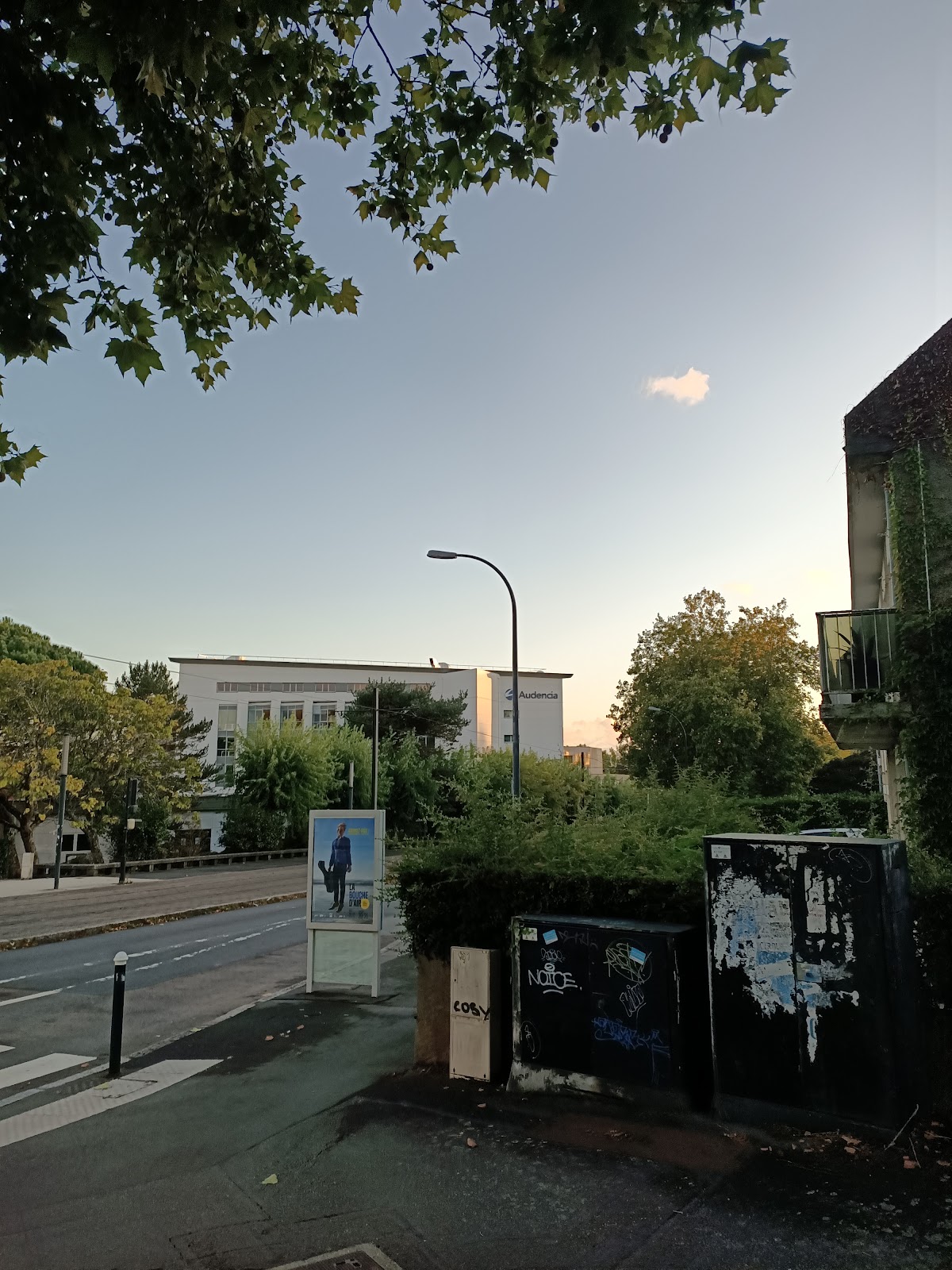 Audencia Business School photo 7