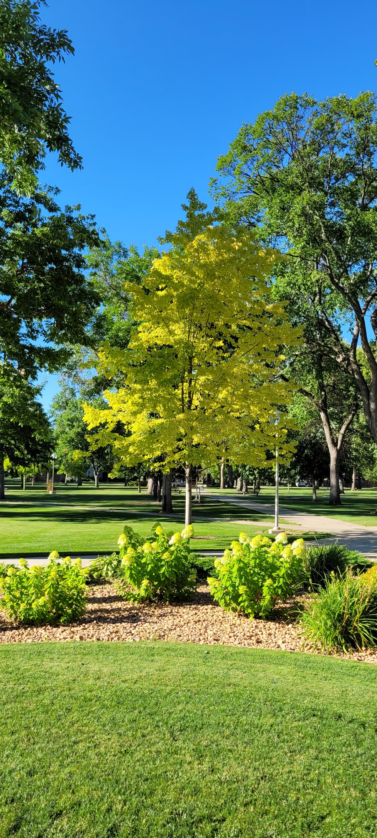 Northern State University photo 9