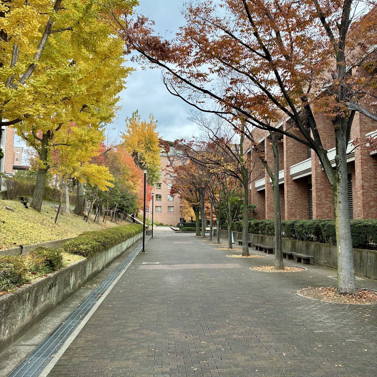 Kansai University photo 9