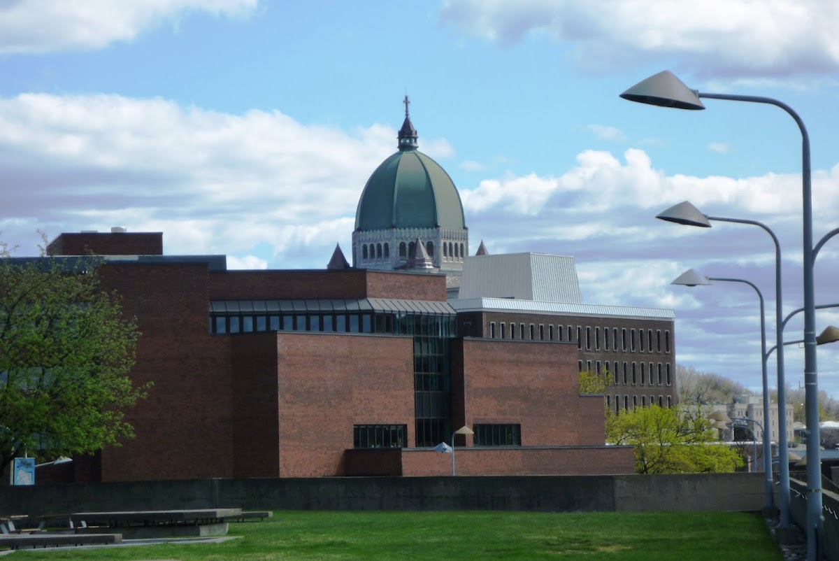 University of Montreal photo 2