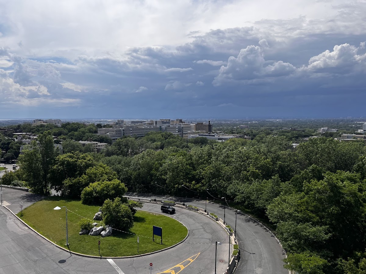 University of Montreal photo 5