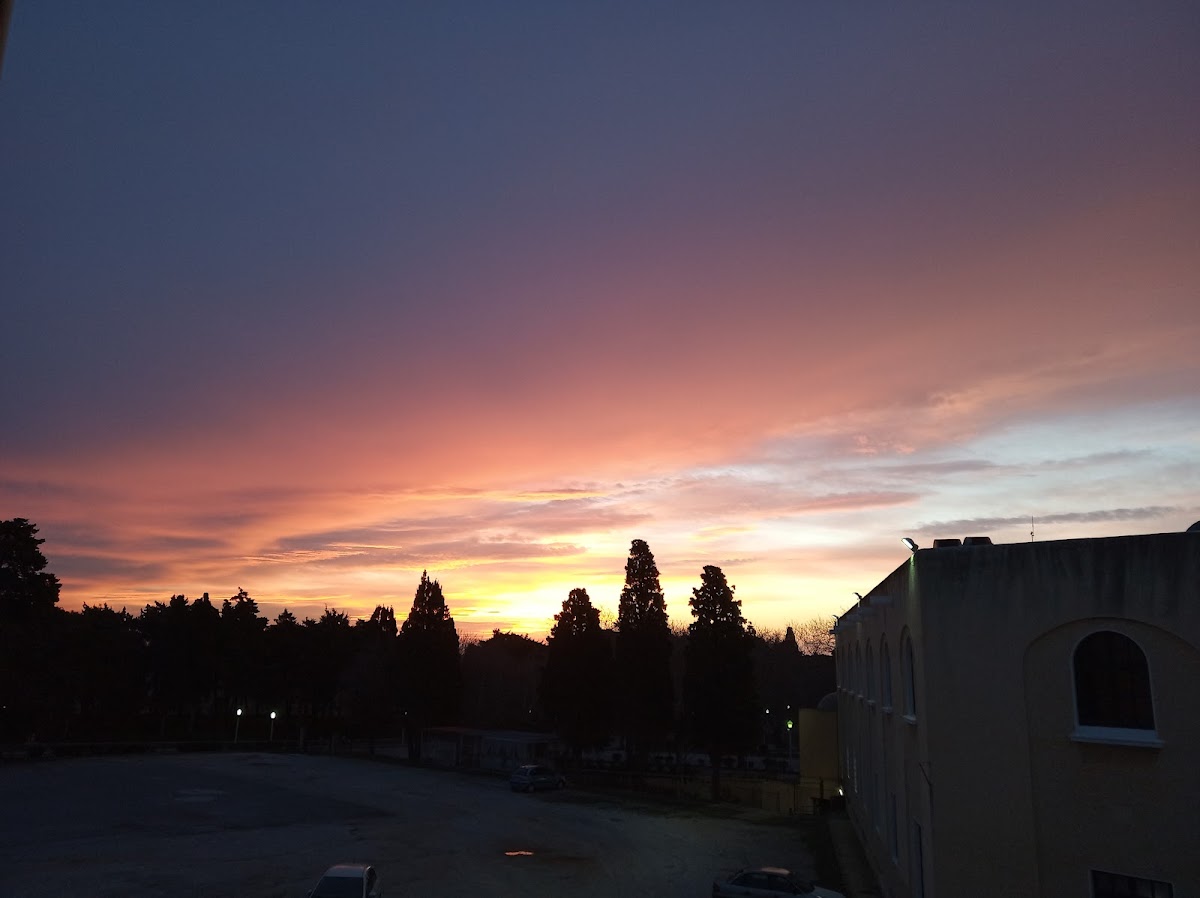 University of the Aegean - Rhodes photo 3