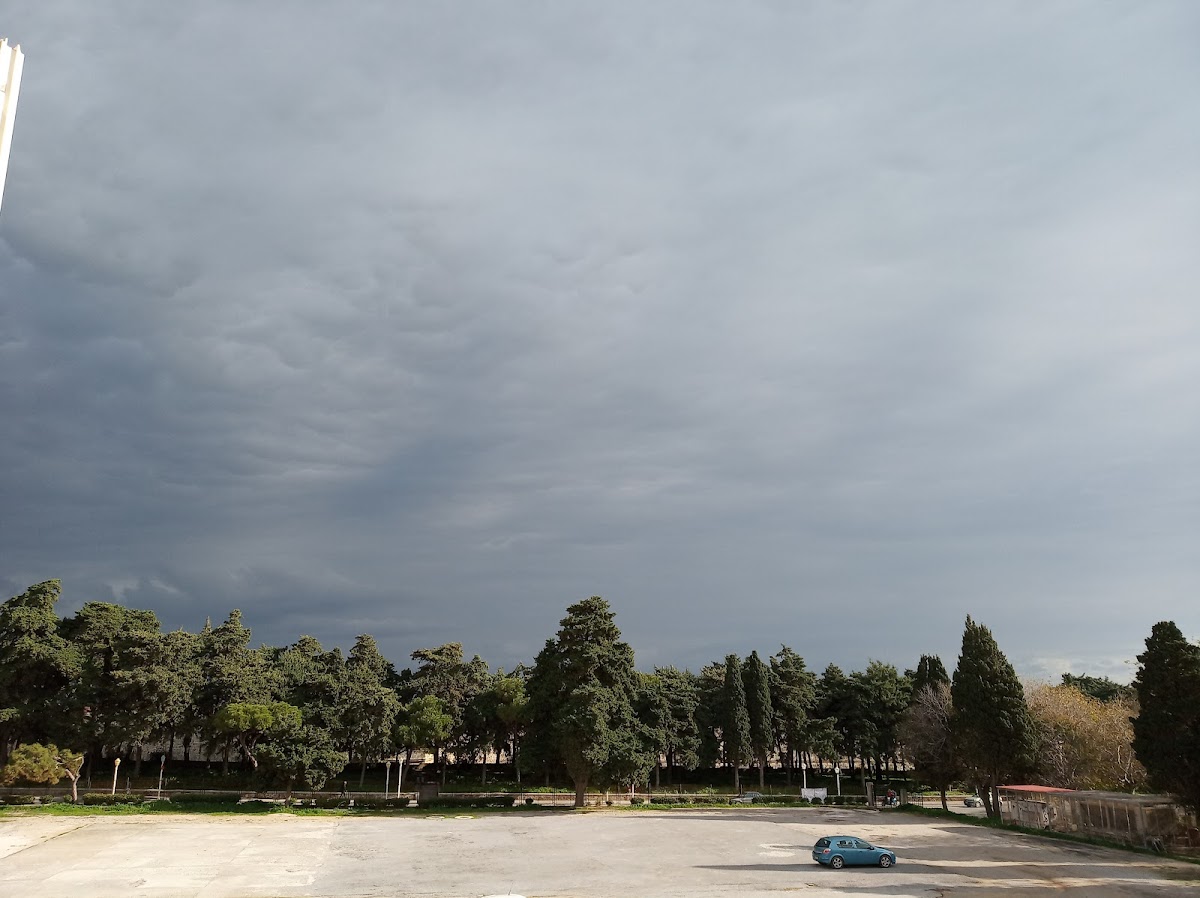 University of the Aegean - Rhodes photo 4