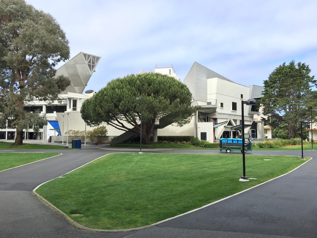 San Francisco State University photo 4