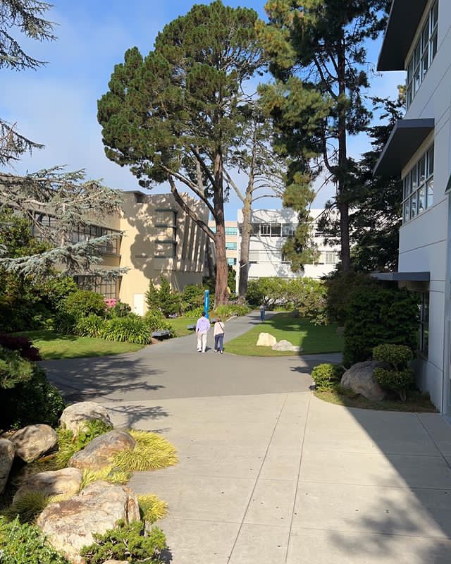 San Francisco State University photo 9
