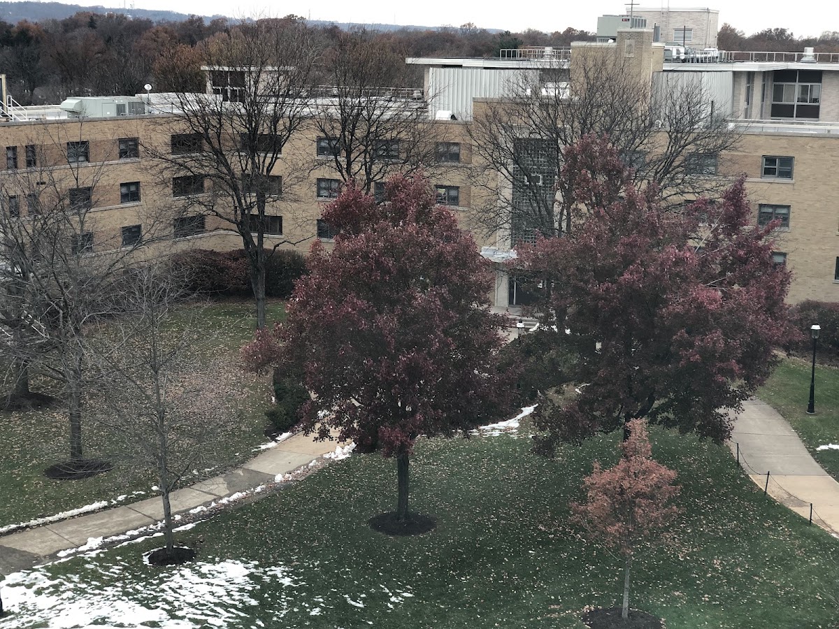Seton Hall University photo 6