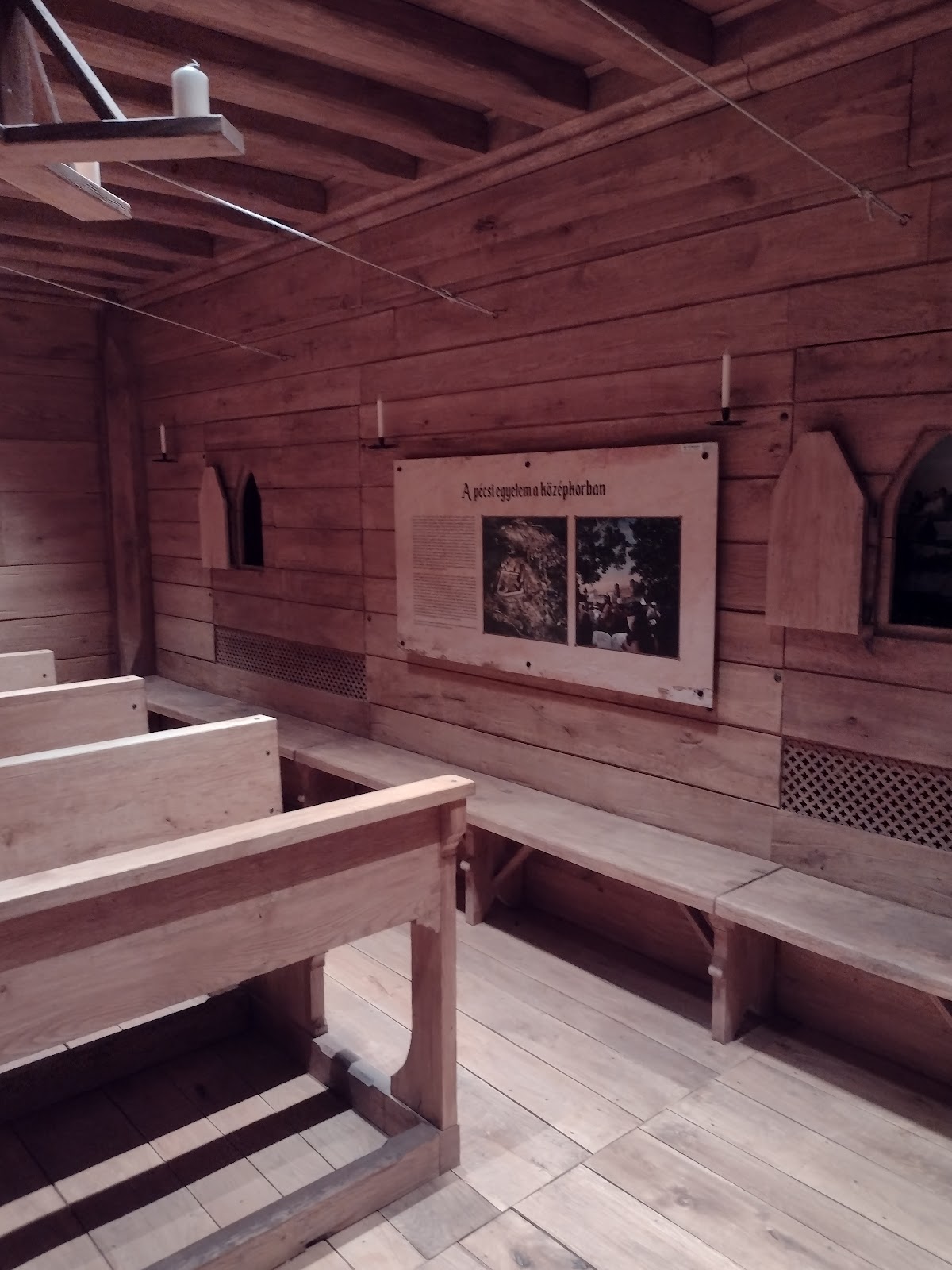 University of Pécs photo 8