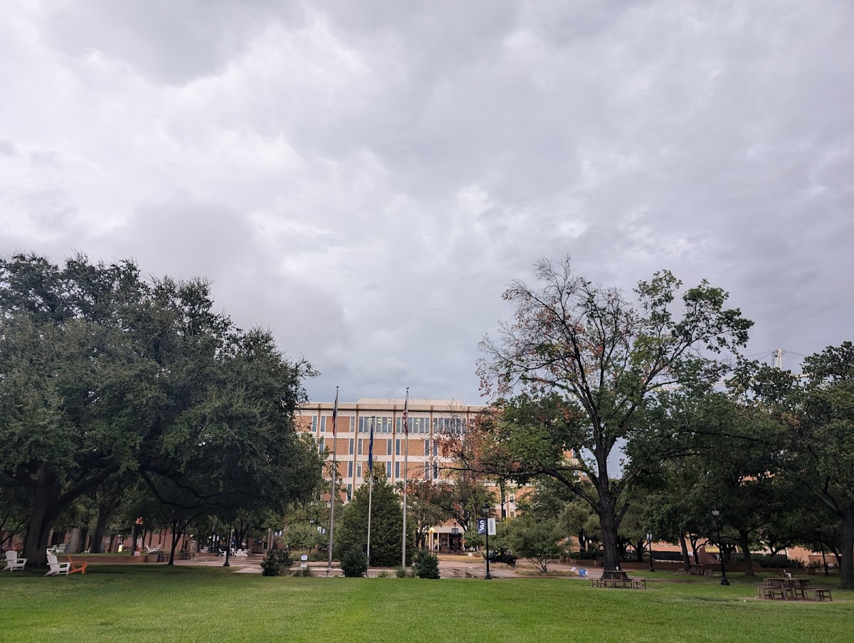 UT Arlington photo 7