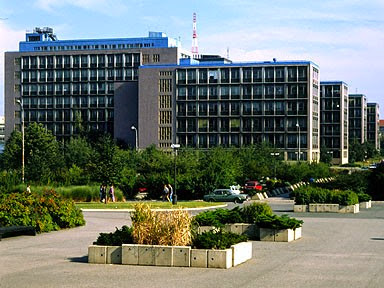 College of Information Technology and Management photo 4