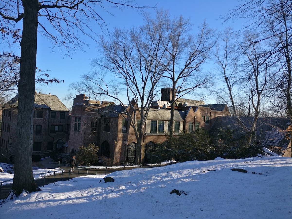 Sarah Lawrence photo 5