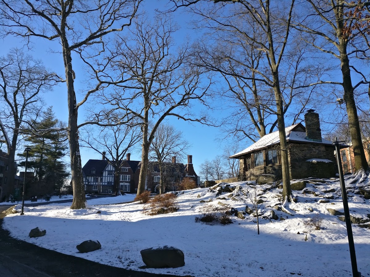 Sarah Lawrence photo 6