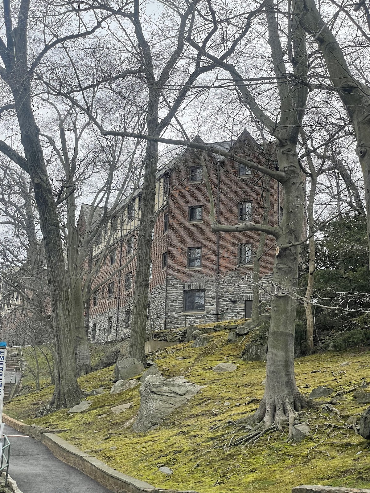 Sarah Lawrence photo 9