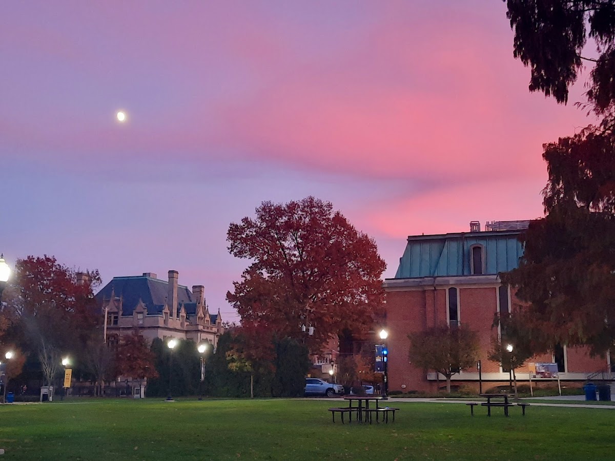 Wilkes University photo 3