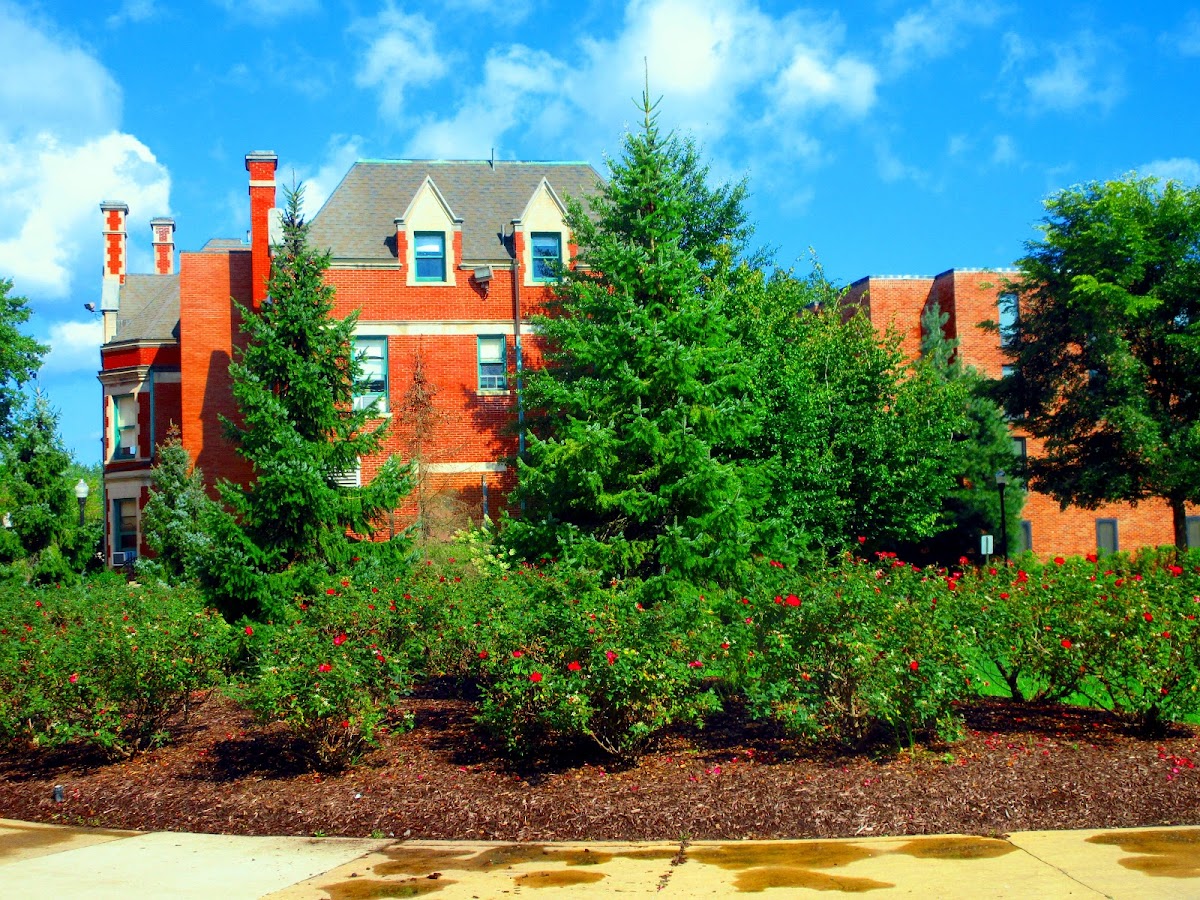 Wilkes University photo 4