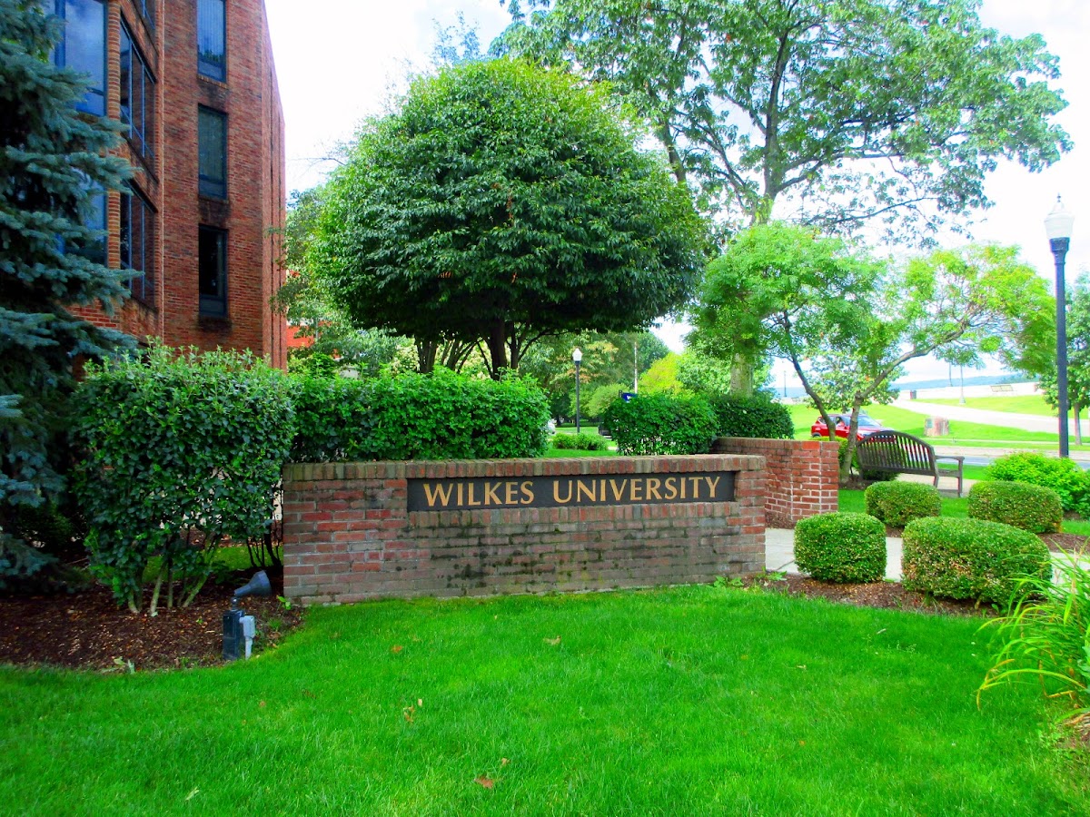 Wilkes University photo 6