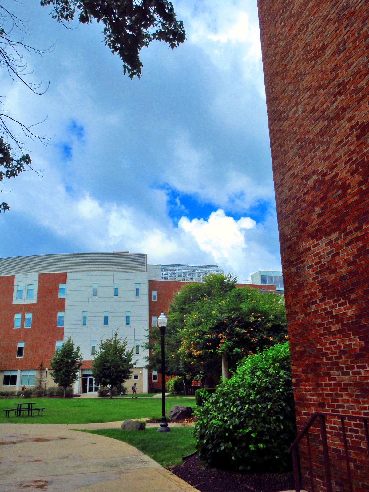 Wilkes University photo 9