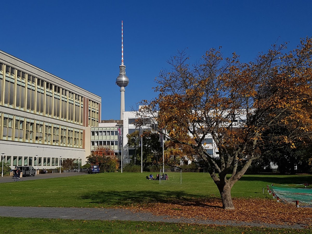 ESMT European School of Management and Technology photo 7