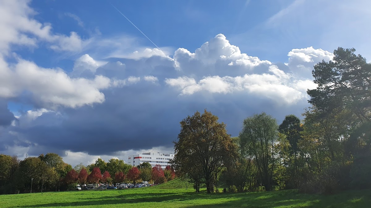 University of Düsseldorf photo 1