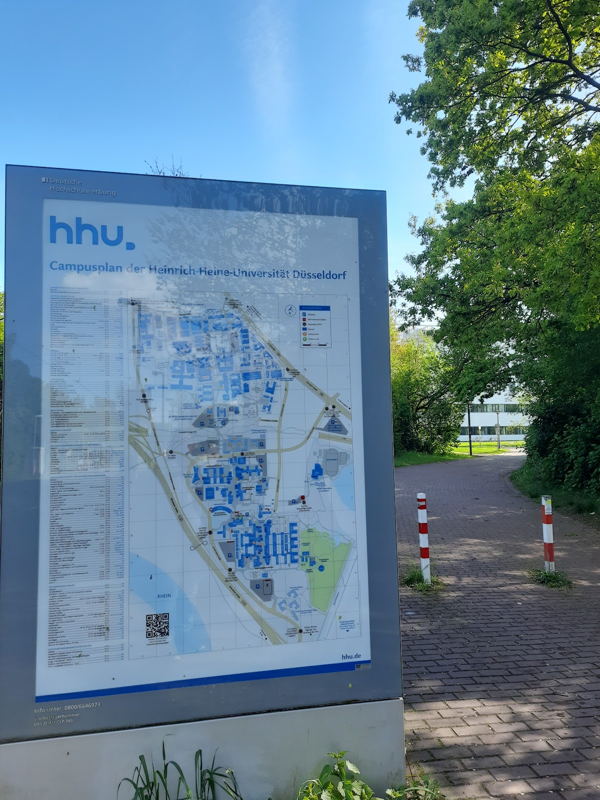 University of Düsseldorf photo 7