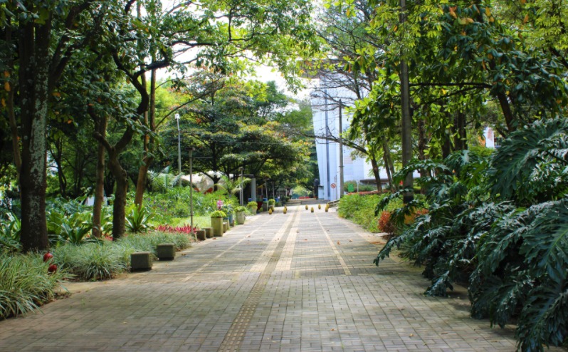 Universidad Pontificia Bolivariana