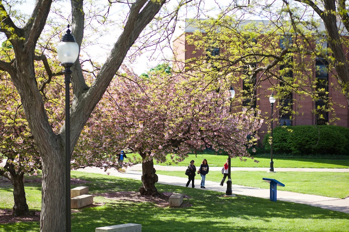 Widener University photo 5