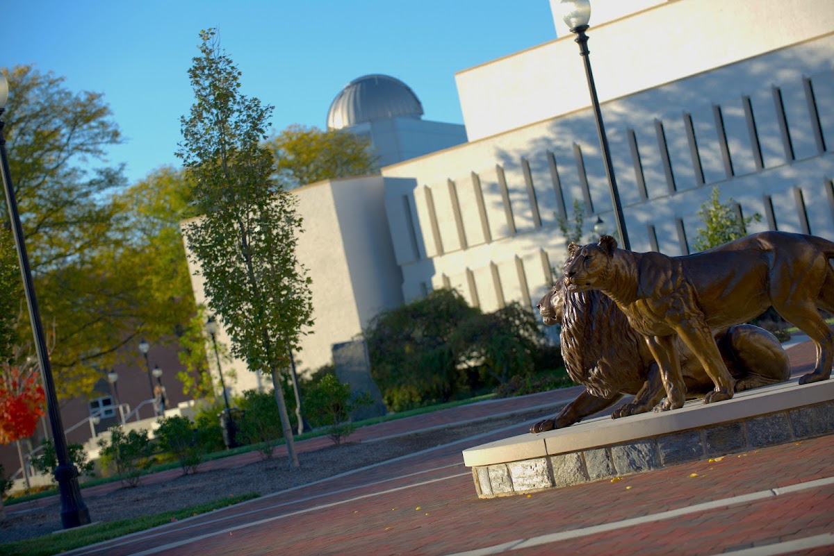 Widener University photo 6