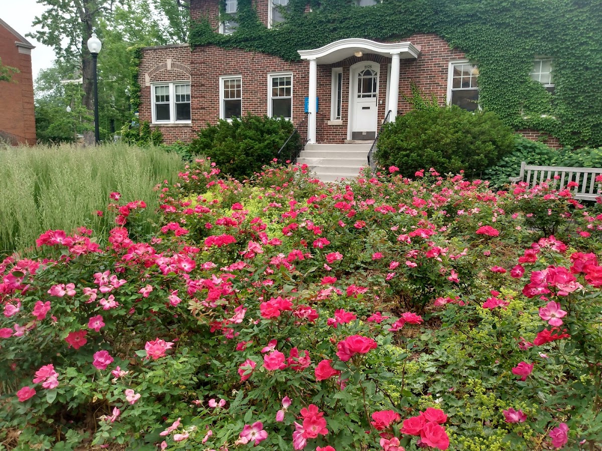 North Park University photo 3