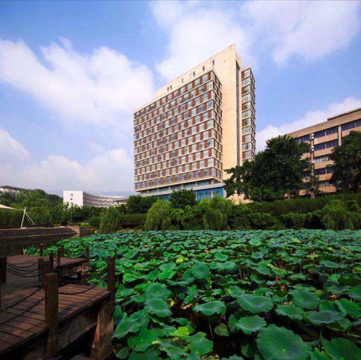 Southwest University photo 6