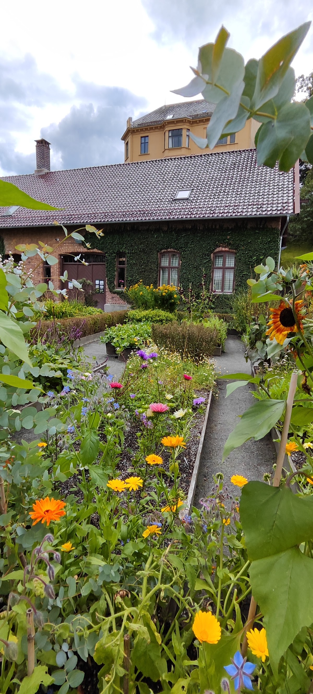 Bergen University College photo 9