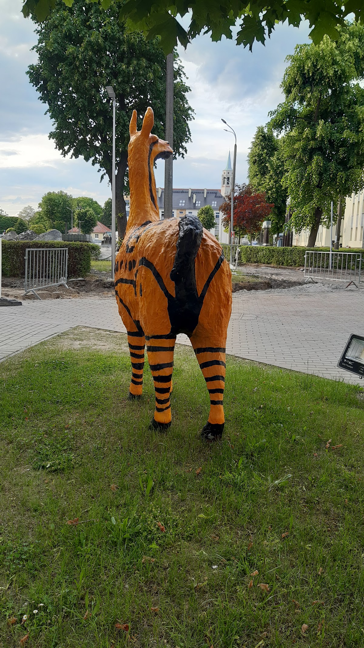 Opole University of Technology photo 9