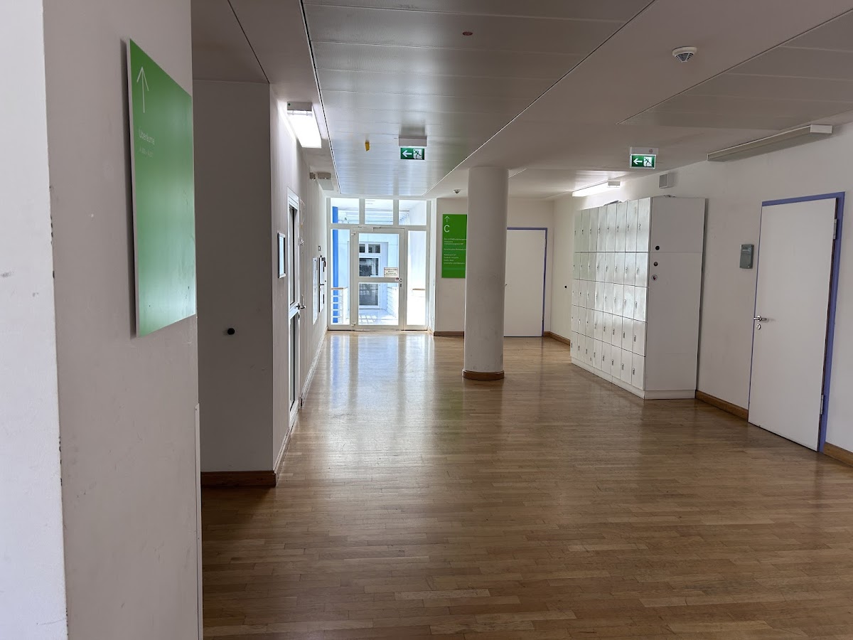 Hochschule für Musik und Darstellende Kunst Frankfurt photo 3