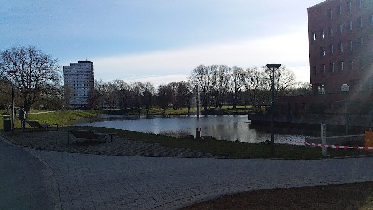 University of Kiel photo 3