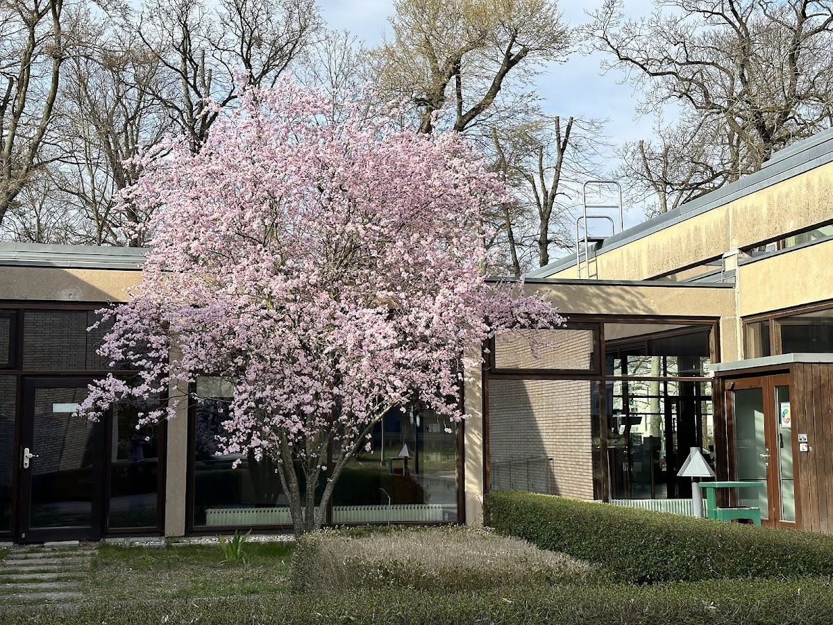 Evanglische Hochschule Berlin photo 5