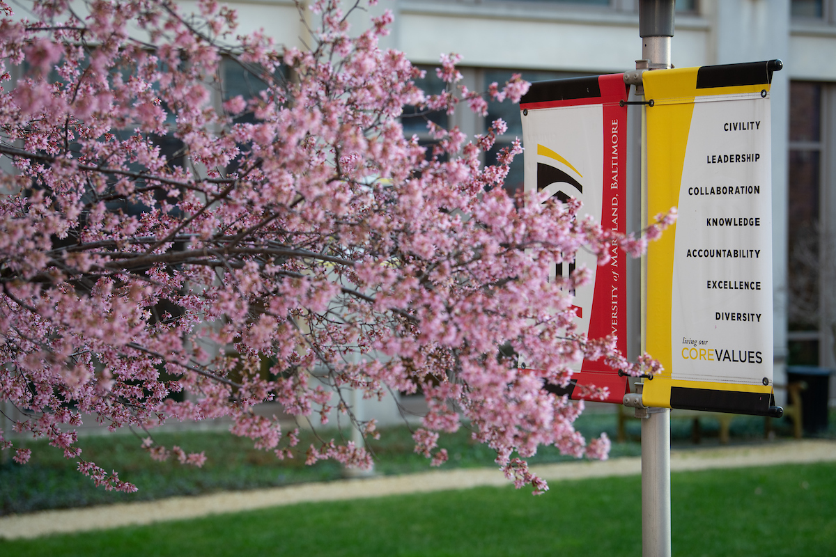 University of Maryland Baltimore