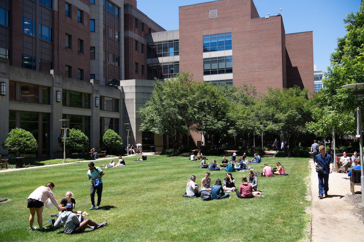 University of Maryland Baltimore photo 1