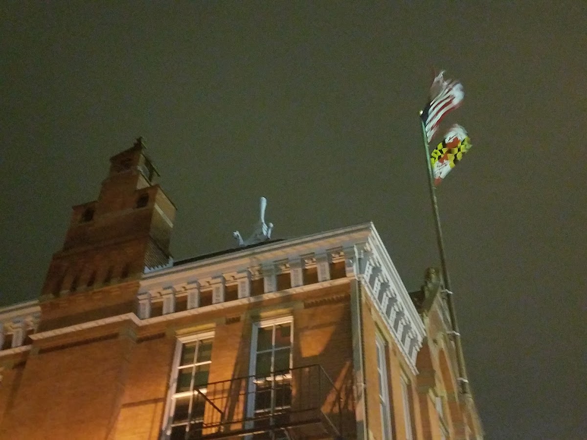 University of Maryland Baltimore photo 7