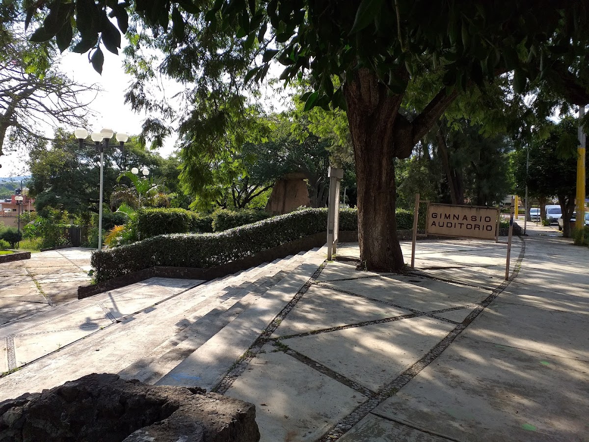 Autonomous University of Morelos State photo 3